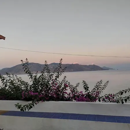 فيلة 